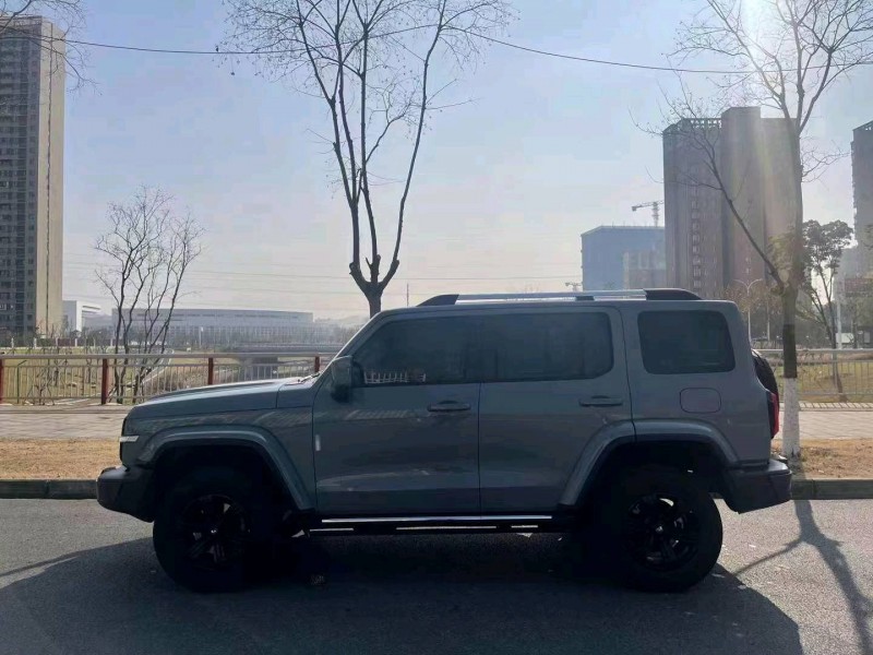 宜昌22年長城汽車坦克3006