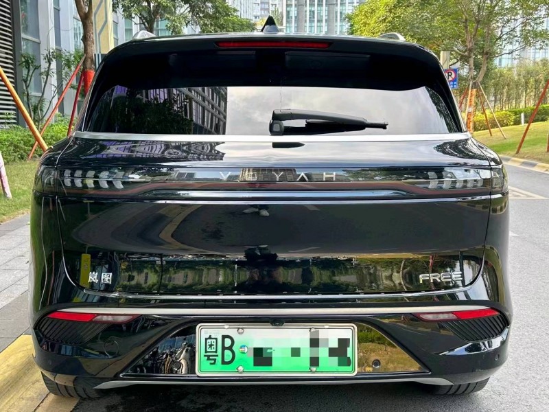 廣州21年嵐圖汽車FREE9