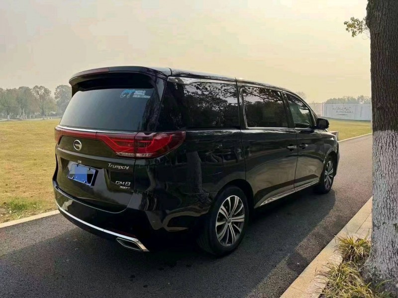 溫州19年傳祺M87