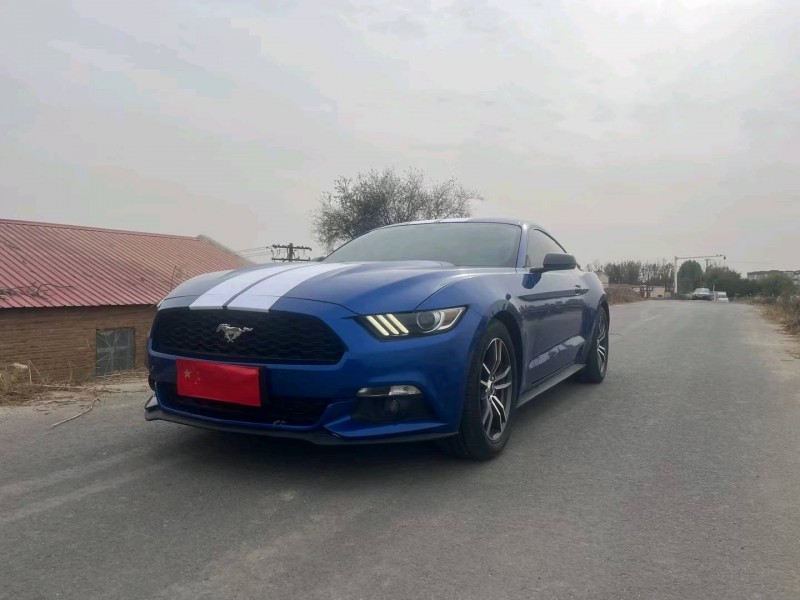 天津17年福特野馬2