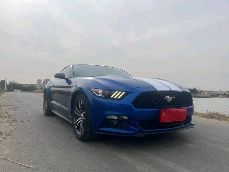 天津17年福特野馬3