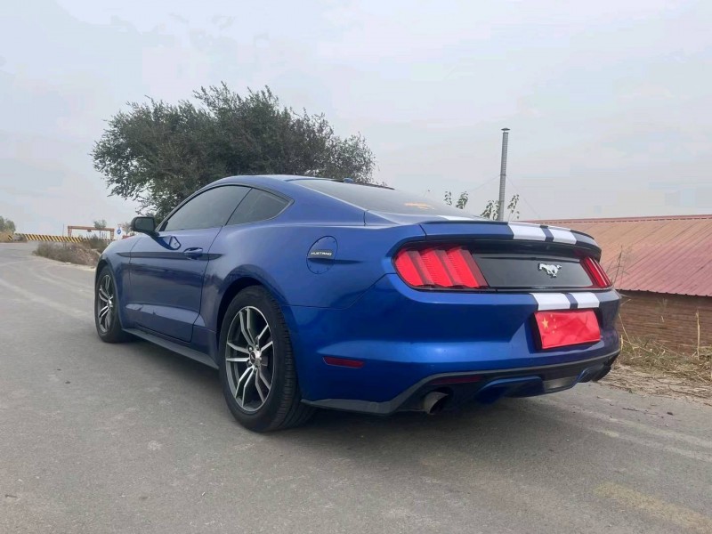 天津17年福特野馬8