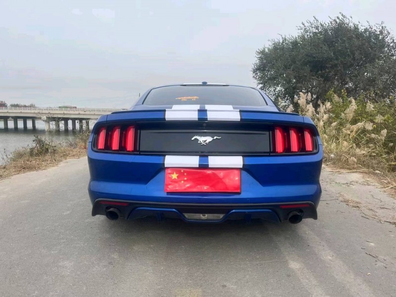 天津17年福特野馬9