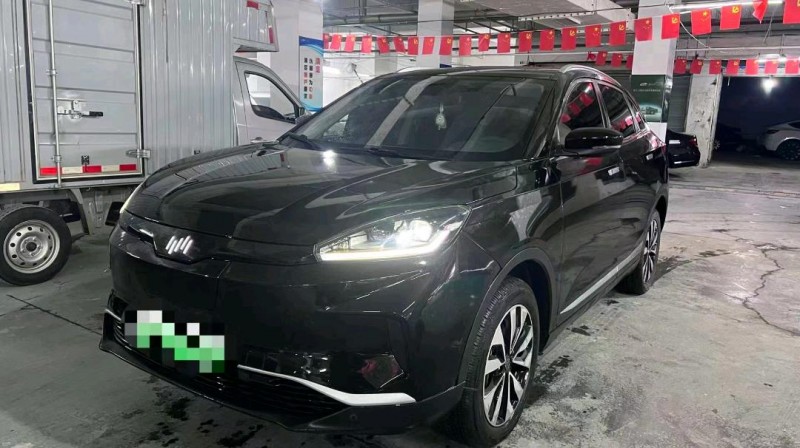 臺州20年威馬汽車EX-53