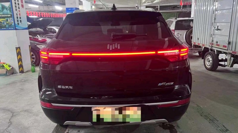 臺州20年威馬汽車EX-59