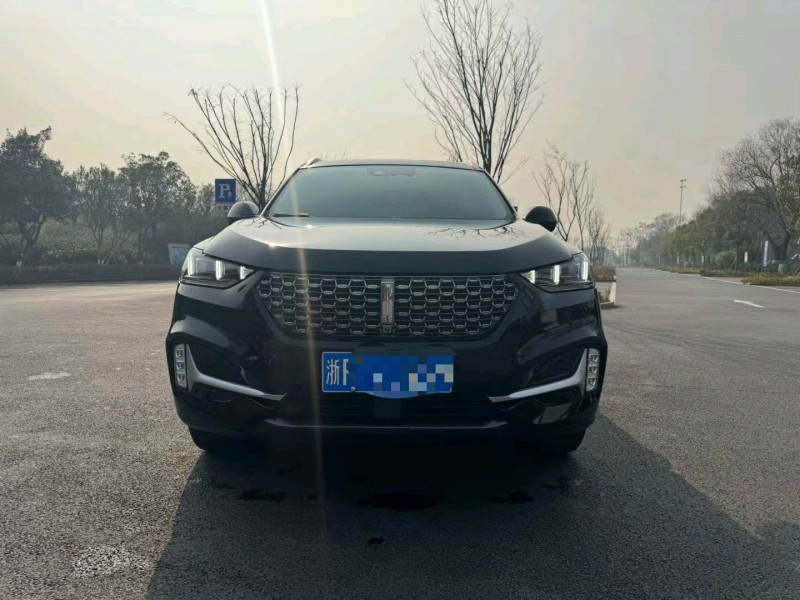 嘉兴20年长城汽车WEY VV61