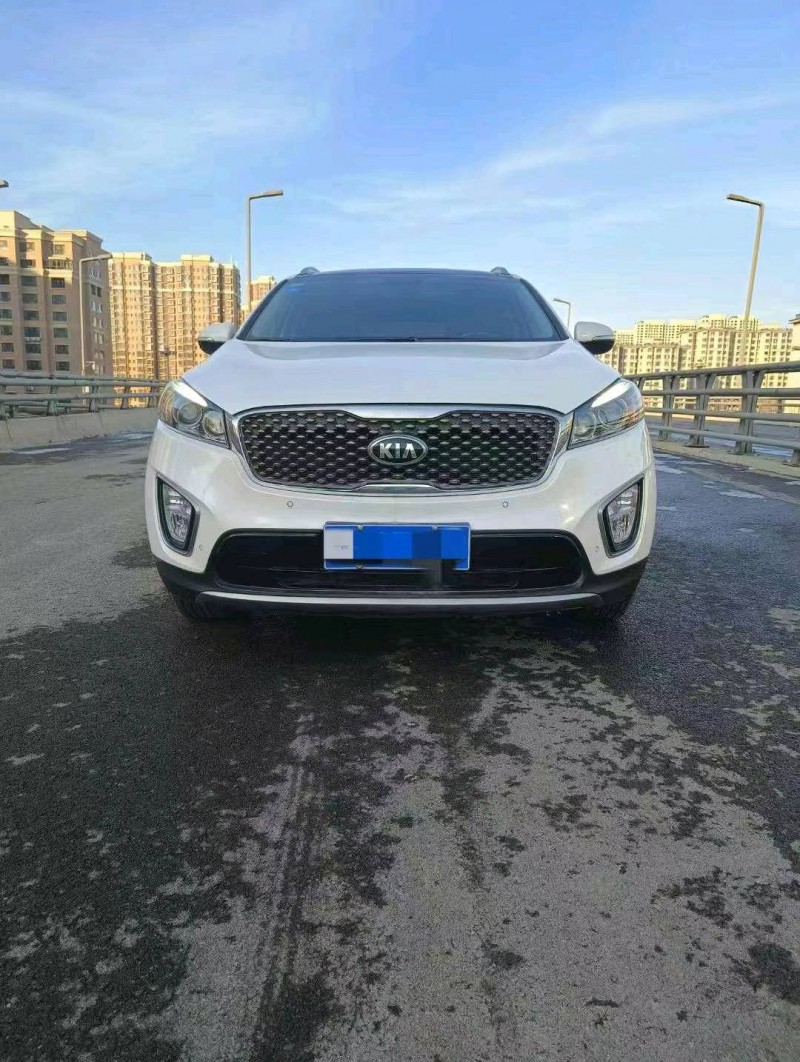 邯郸16年起亚索兰托1