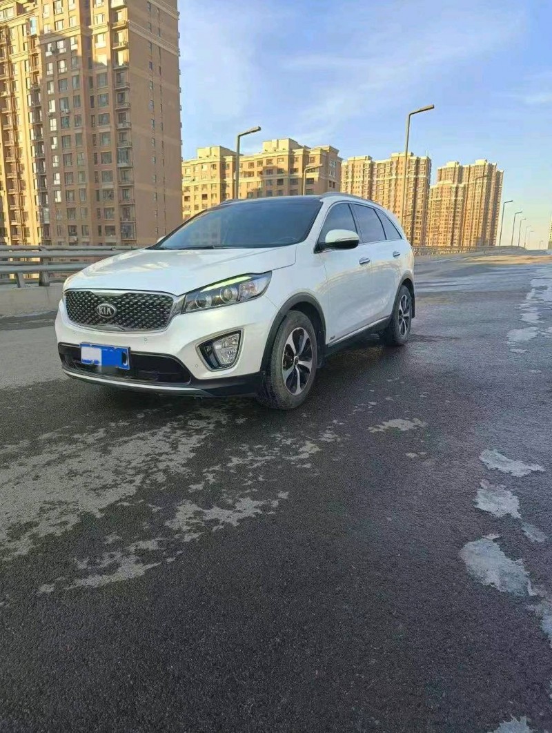 邯郸16年起亚索兰托2