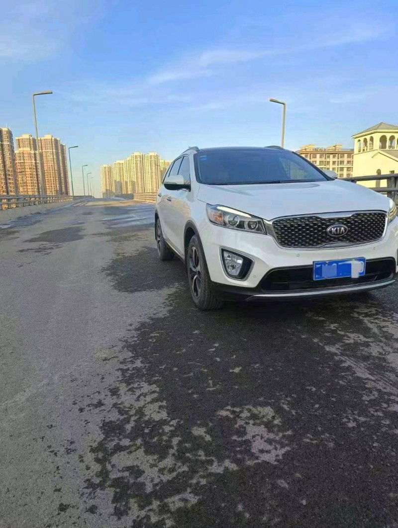 邯郸16年起亚索兰托3