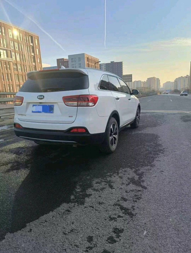 邯郸16年起亚索兰托6