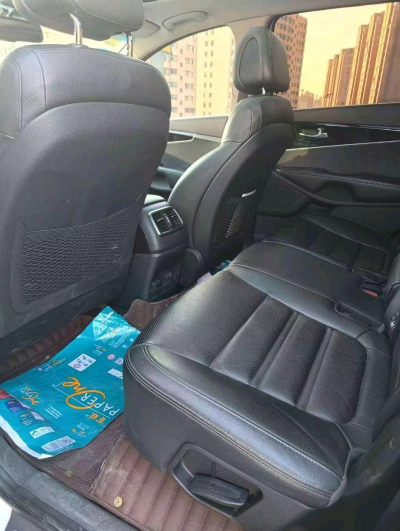 邯郸16年起亚索兰托7