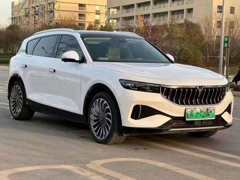 咸陽21年嵐圖汽車FREE2