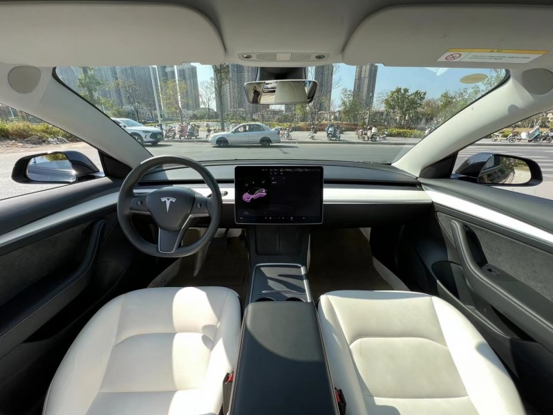 東莞22年特斯拉MODEL 38