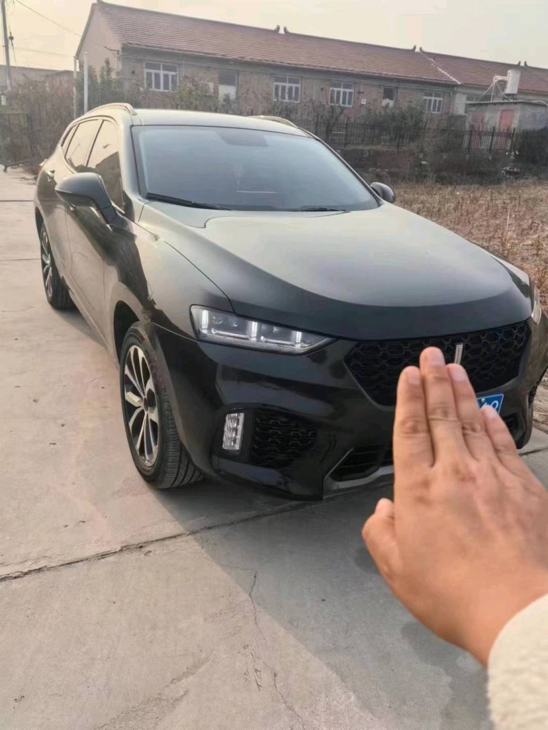 天津18年長城汽車WEY VV72