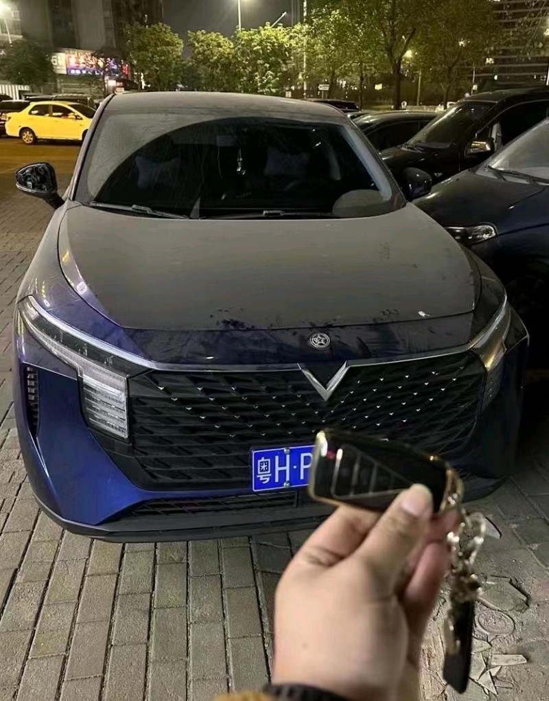 汕頭22年啟辰大V1
