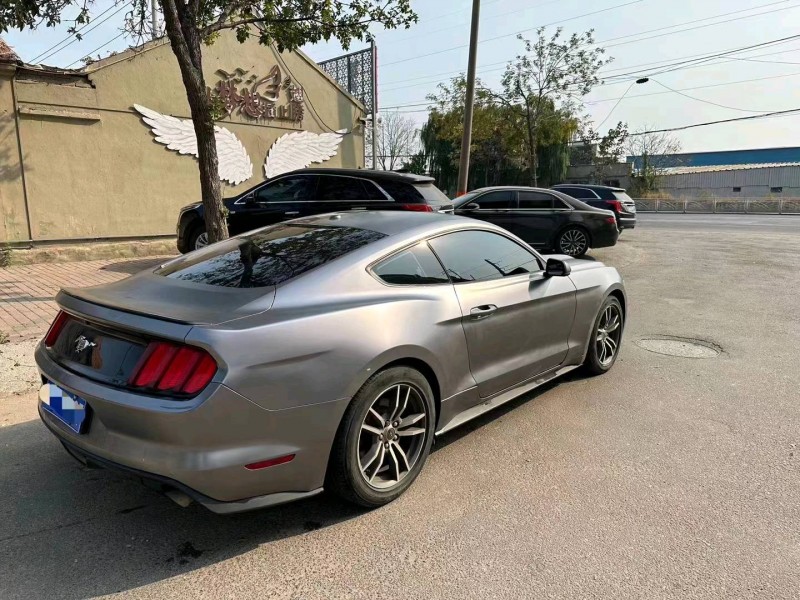 枣庄18年福特野马7