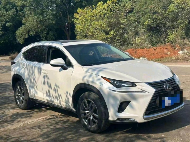 嘉兴16年雷克萨斯NX2