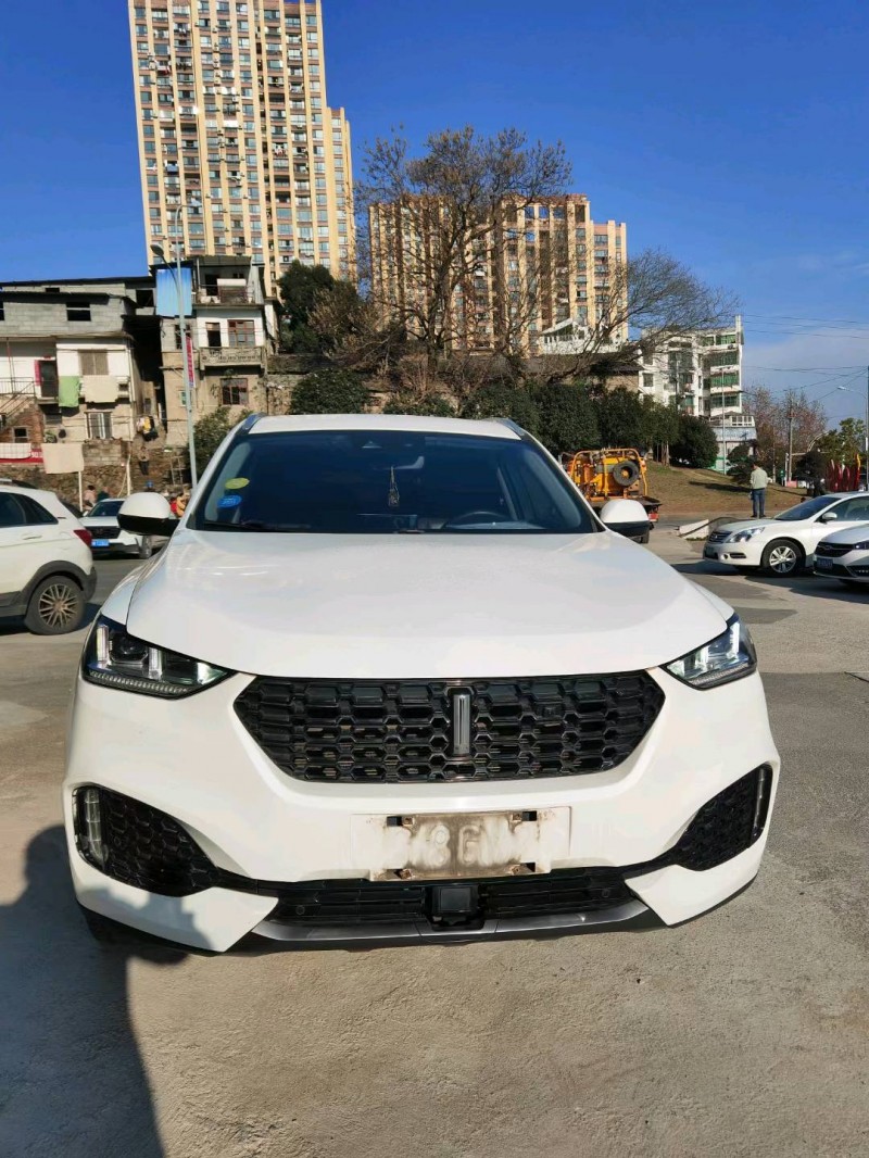 上饒19年長城汽車WEY VV61