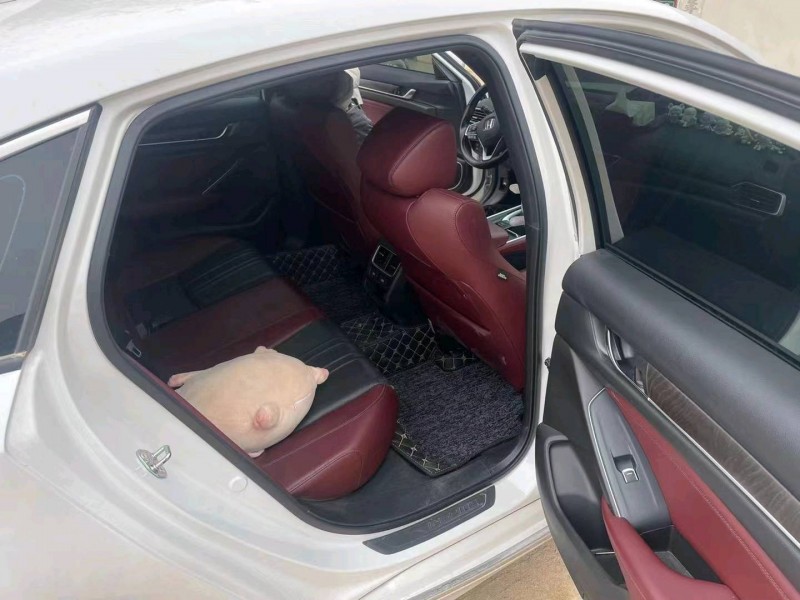 珠海22年本田英诗派6