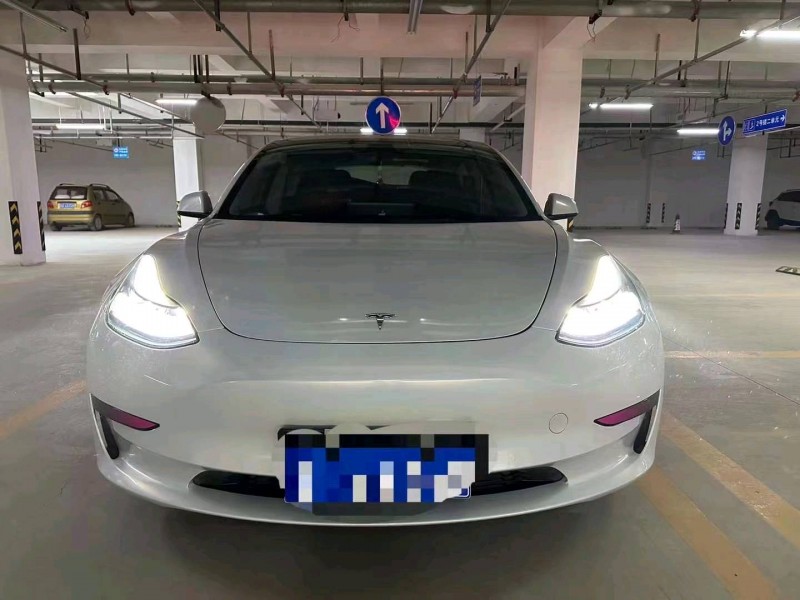 棗莊22年特斯拉MODEL 31