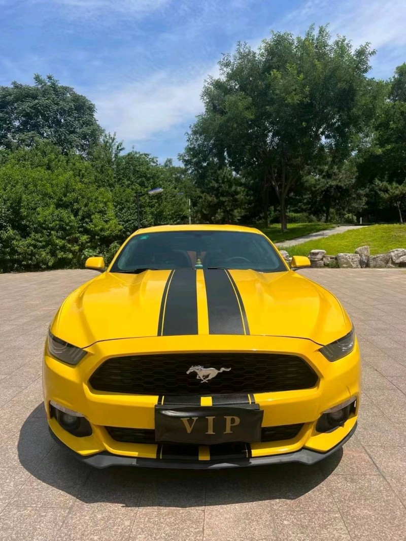 邢台16年福特野马1