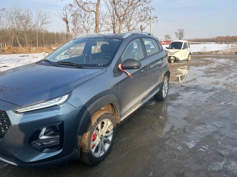 保定21年奇瑞瑞虎3x3