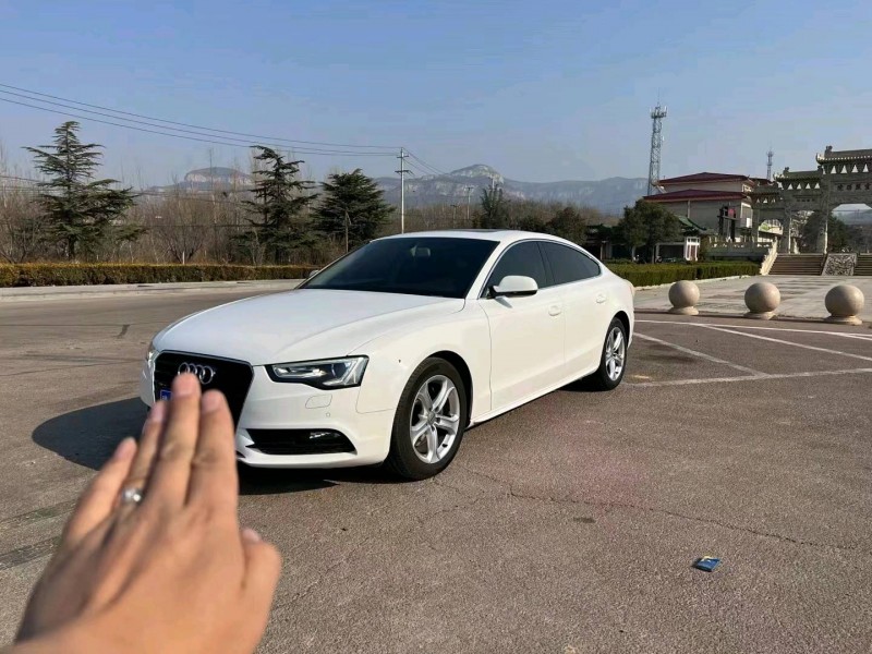 枣庄15年奥迪A52