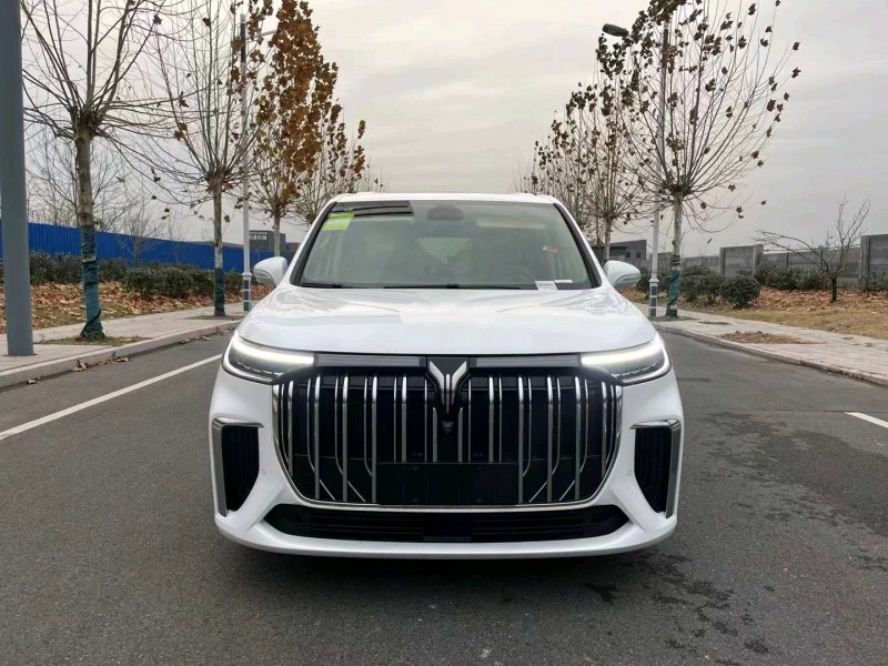 徐州23年嵐圖汽車夢想家1