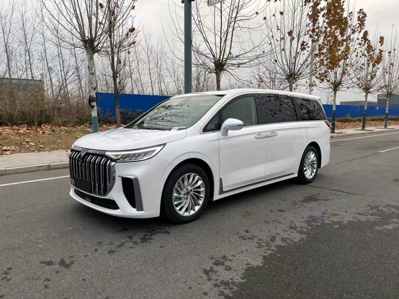 徐州23年嵐圖汽車夢想家3