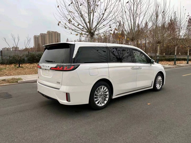 徐州23年嵐圖汽車夢想家8