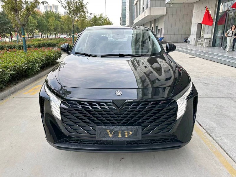 濟寧22年啟辰大V1