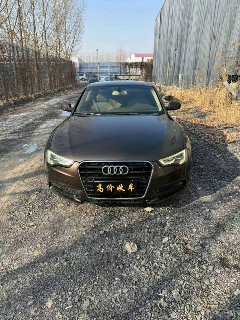 枣庄12年奥迪A51