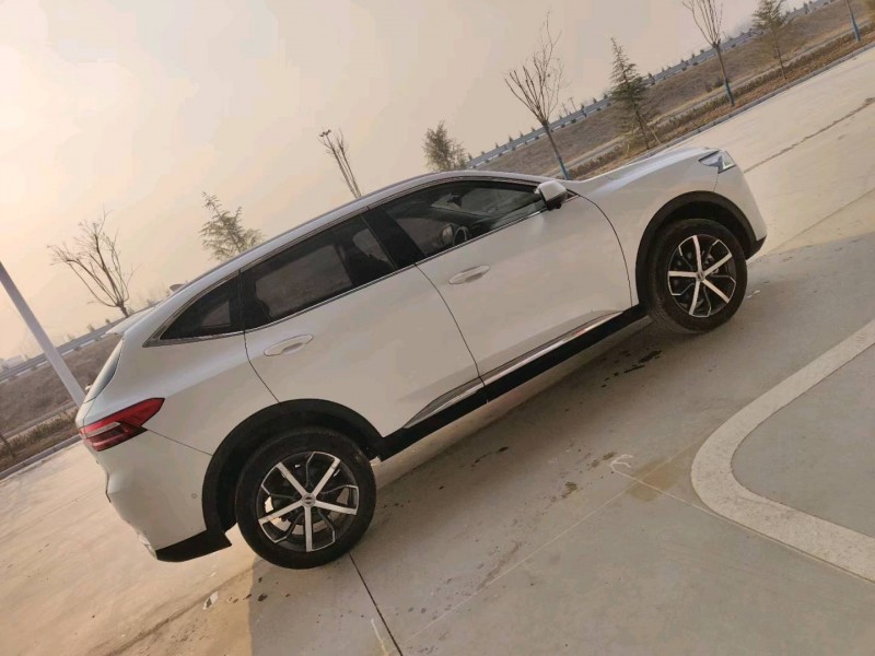 菏泽20年哈弗F7x4