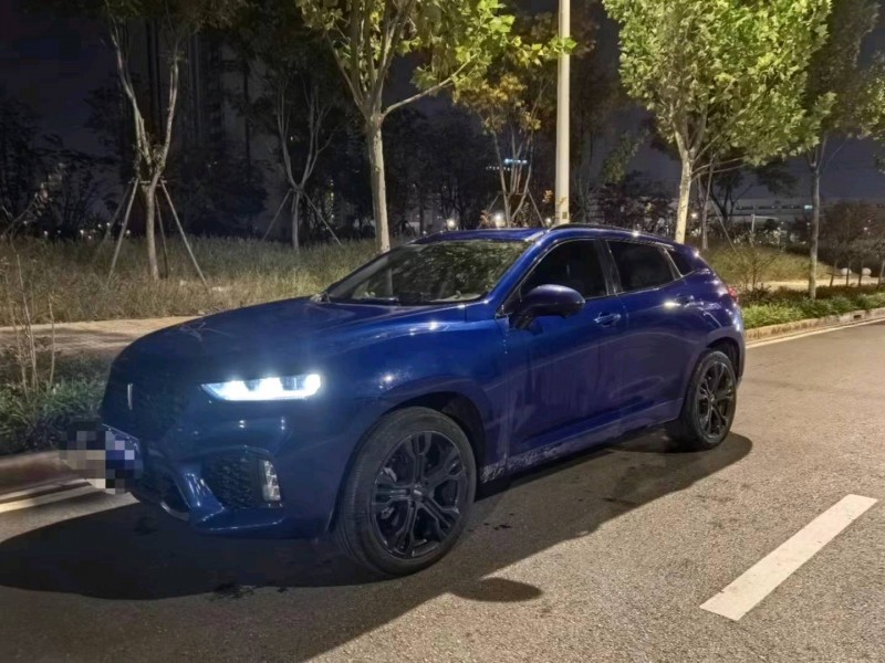 宜昌19年長城汽車WEY VV72