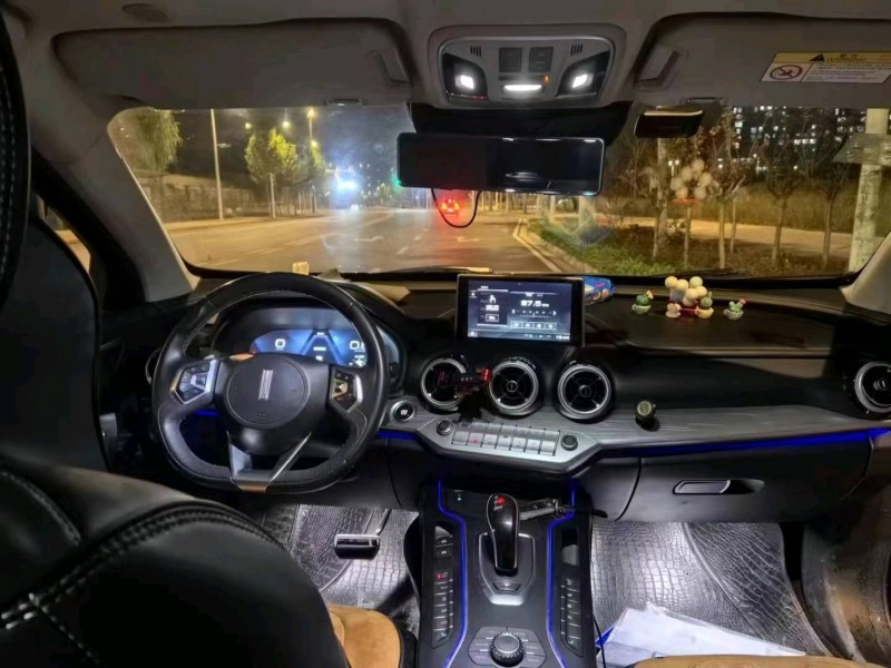 宜昌19年長城汽車WEY VV74