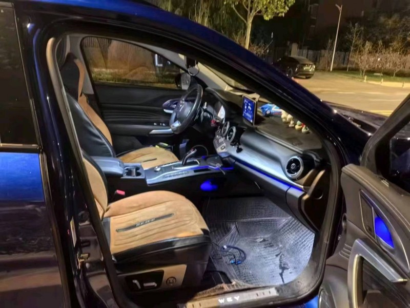 宜昌19年長城汽車WEY VV78
