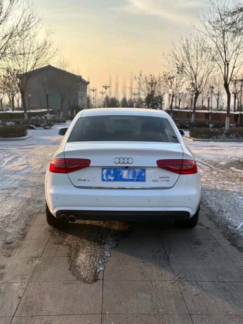 忻州15年奧迪A4L6