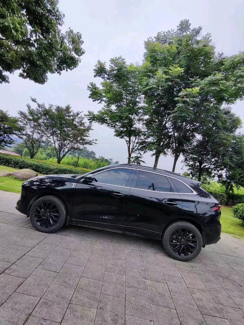 嘉兴22年东风T55