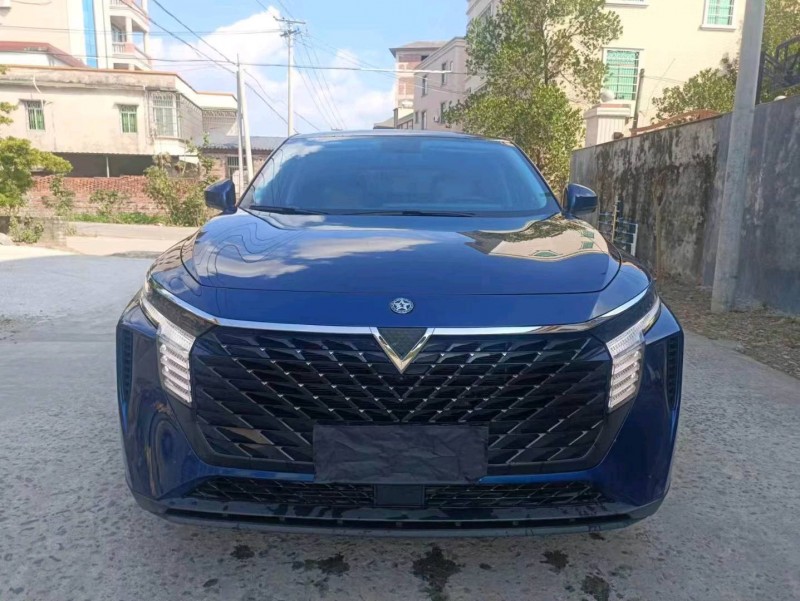 汕頭23年啟辰大V1