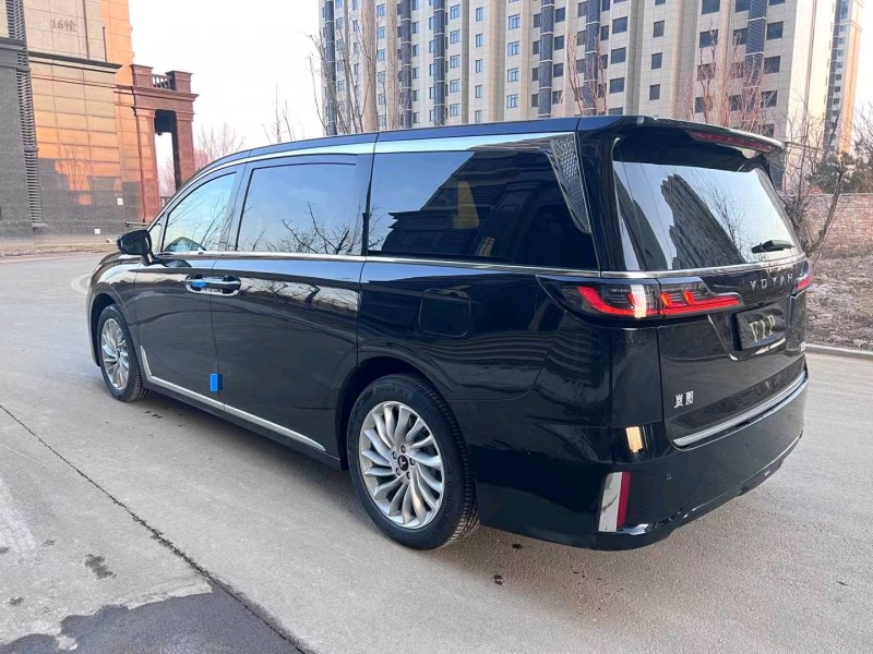 廊坊23年嵐圖汽車夢想家5