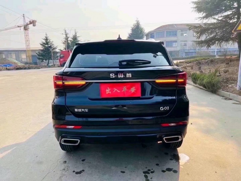 枣庄23年SWM斯威汽车G017