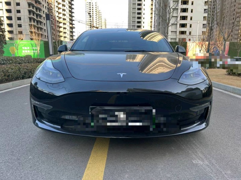 棗莊21年特斯拉MODEL 31