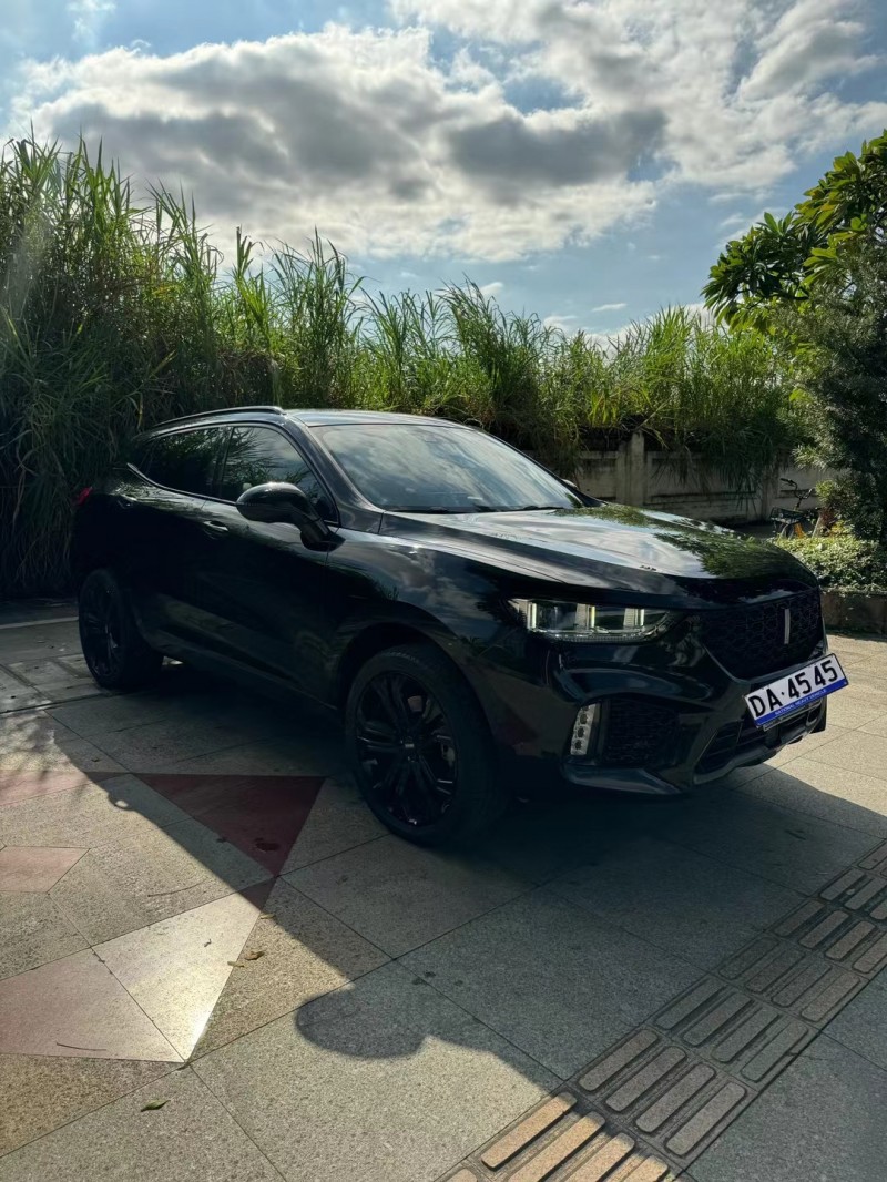 东莞18年长城汽车WEY VV53