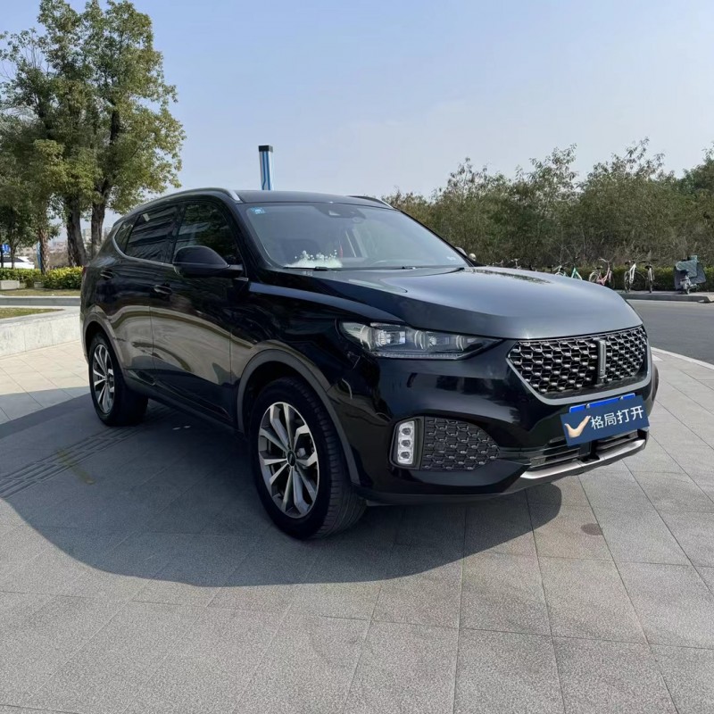 东莞20年长城汽车WEY VV62