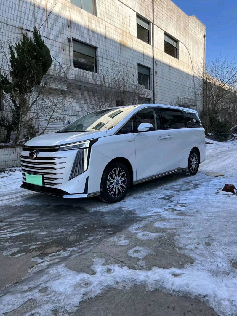 邯郸23年传祺E9MAX2