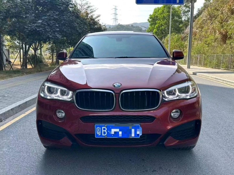 广州19年宝马X61