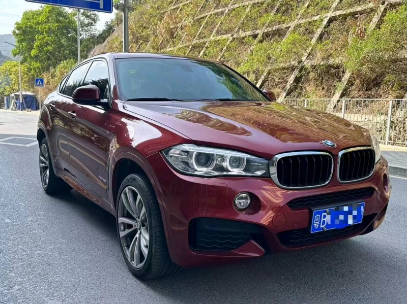 广州19年宝马X62