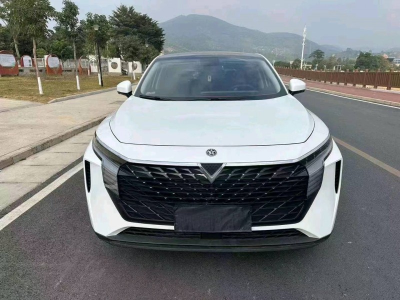 邯鄲23年啟辰大V1