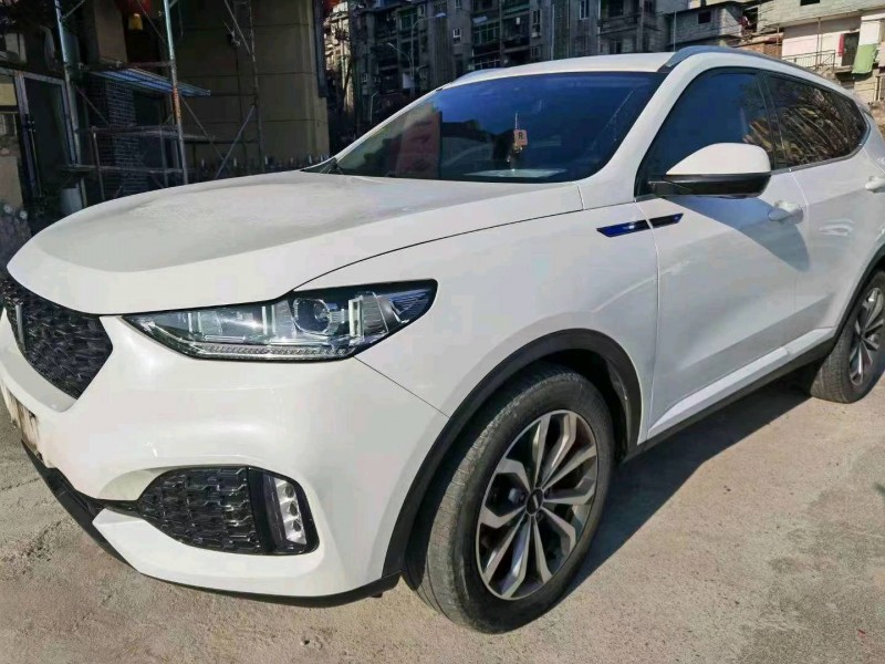 萍鄉19年長城汽車WEY VV68