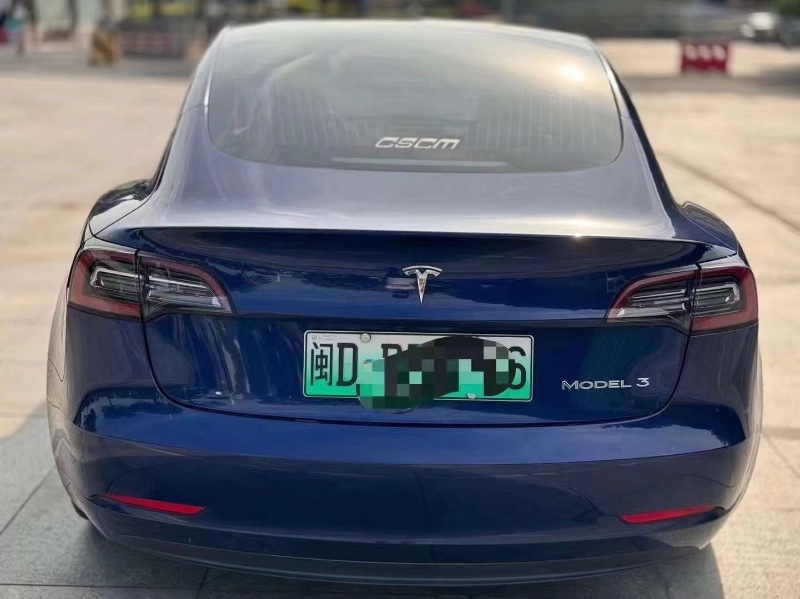 鄭州20年特斯拉MODEL 33